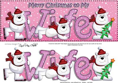 Large Dl Xmas Wife with Polar Bears Quick Card 3D Decoupage