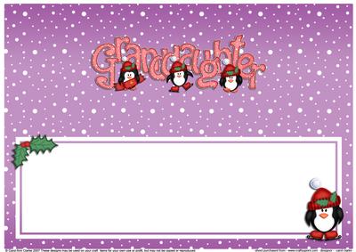 Xmas Granddaughter with Penguins Matching Large Dl Insert