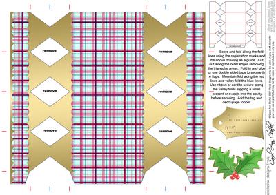 Tartan Cracker Shaped Treat or Favour Box