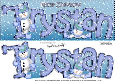 Xmas Large Dl Trystan Quick Card N 3D Decoupage