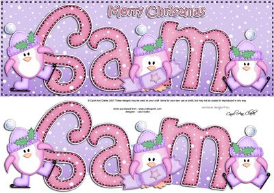 Xmas Large Dl Sam Quick Card N 3D Decoupage