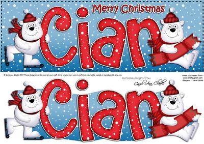 Xmas Large Dl Cian Quick Card N 3D Decoupage