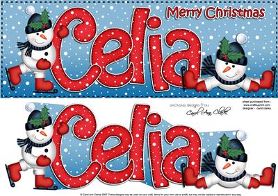 Xmas Large Dl Celia Quick Card with Santa N 3D Decoupage