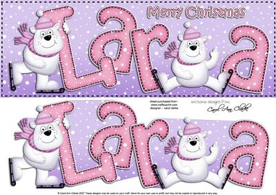 Xmas Large Dl Lara Quick Card with Santa N 3D Decoupage