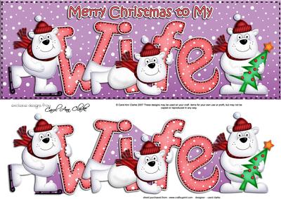 Large Dl Xmas Wife with Polar Bears Quick Card 3D Decoupage