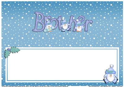 Xmas Brother with Penguins Matching Large Dl Insert