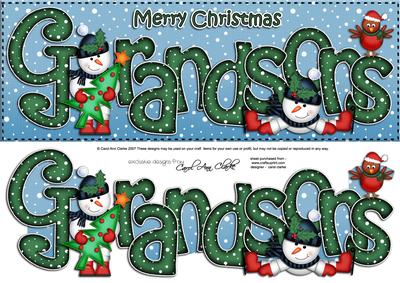 Large Dl Xmas Grandsons Quick Card 3D Decoupage