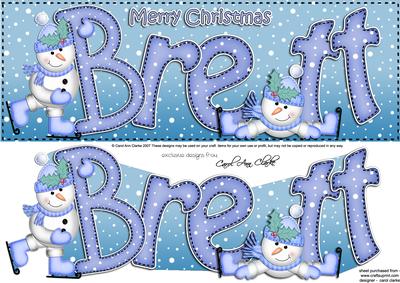 Large Dl Xmas Brett Quick Card 3D Decoupage
