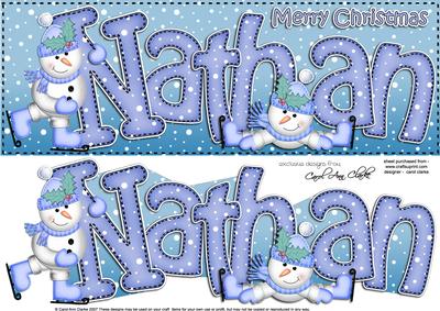 Large Dl Xmas Nathan Quick Card 3D Decoupage