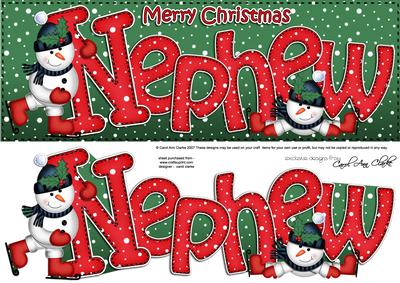 Large Dl Xmas Nephew Quick Card 3D Decoupage