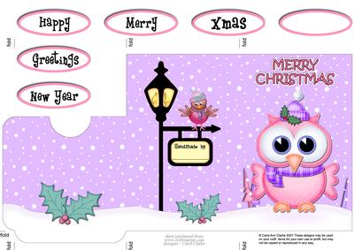 Xmas Little Hoot Owl Lottery Wallet Card