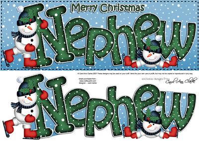 Large Dl Xmas Nephew Quick Card 3D Decoupage