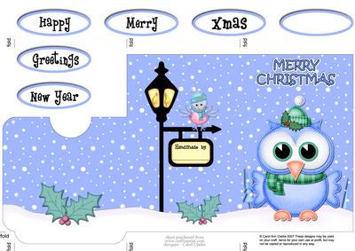 Xmas Little Hoot Owl Lottery Wallet Card