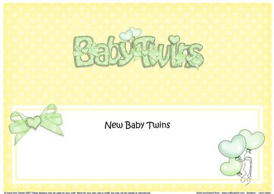 New Baby Twins Matching Large Dl Insert