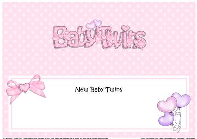 New Baby Twins Matching Large Dl Insert