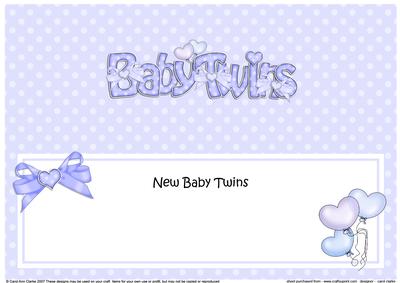 New Baby Twins Matching Large Dl Insert