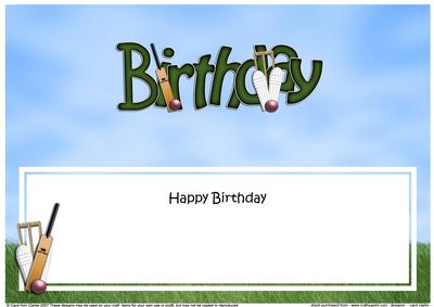 Birthday Cricket Large Dl Sports Matching Large Dl Insert