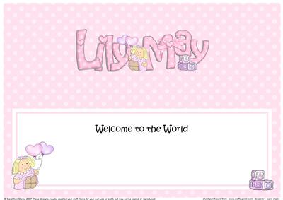 New Baby Lily May Matching Large Dl Insert