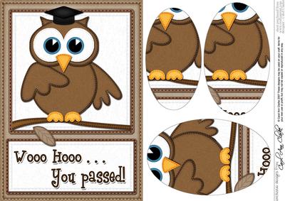 A5 Wise Owl You Passed Felties Oval Pyramage Topper