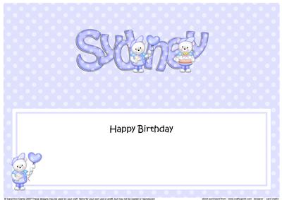 Birthday Sydney Large Dl Matching Large Dl Insert