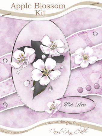Apple Blossom Pink Kit with Step by Step Decoupage