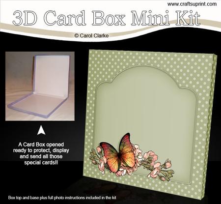 Butterfly & Flowers 5.5 x 5.5 Square Card Box Mini Kit