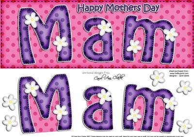 Large Dl Mothers Day Mam Quick Card N 3D Decoupage