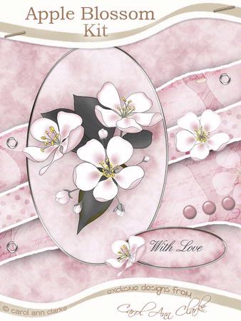 Apple Blossom Kit in Apricot with Step by Step Decoupage
