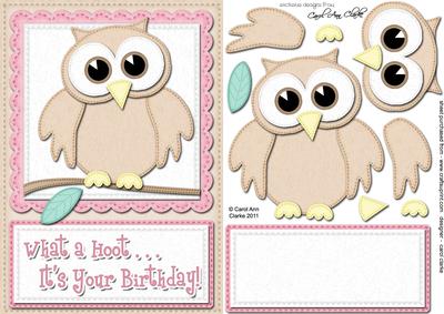 A5 What a Hoot Birthday Felties Quick Card N 3D Decoupage