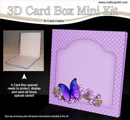 Butterfly & Flowers 5.5 x 5.5 Square Card Box Mini Kit