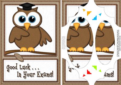 A5 Wise Owl Exam Good Luck Felties Scallop Corner N Pyramage