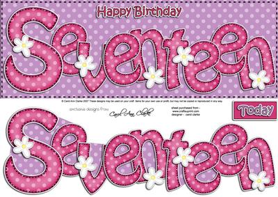 17th Birthday Large Dl Quick Card N 3D Decoupage