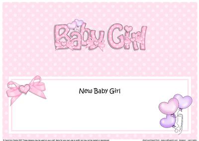 New Baby Girl Matching Large Dl Insert