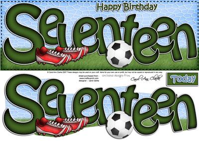 17th Birthday Large Dl Quick Card N 3D Decoupage