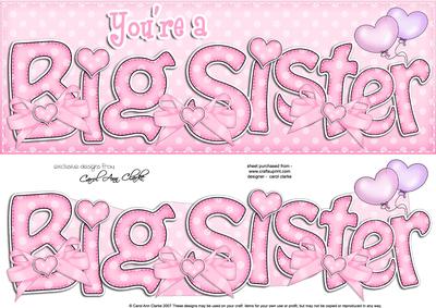 Large Dl Big Sister Felties Card & 3D Decoupage