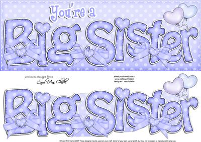 Large Dl Big Sister Felties Card & 3D Decoupage