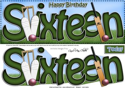 16th Birthday Large Dl Quick Card N 3D Decoupage