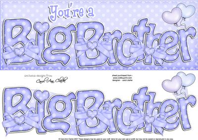 Large Dl Big Brother Felties Card & 3D Decoupage