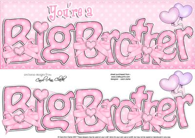 Large Dl Big Brother Felties Card & 3D Decoupage