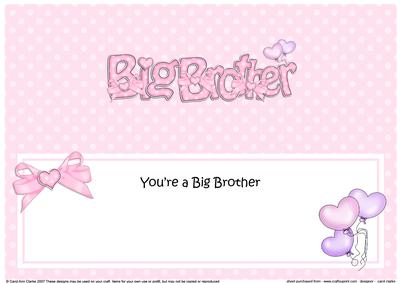 Big Brother Matching Large Dl Insert