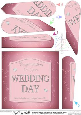 Wedding Day Pink Champers Wine Label Fan Pyramage Topper