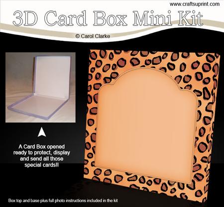 Animal Print 6 x 6 Square Card Box Mini Kit