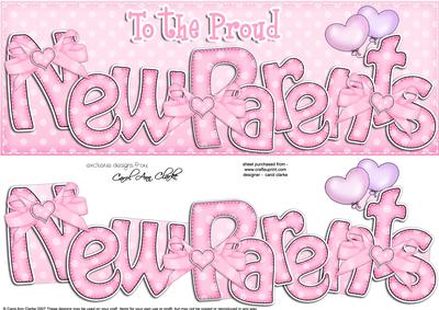 Large Dl New Parents Felties Card & 3D Decoupage