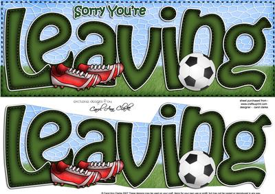 Sorry You're Leaving Large Dl with 3D Decoupage