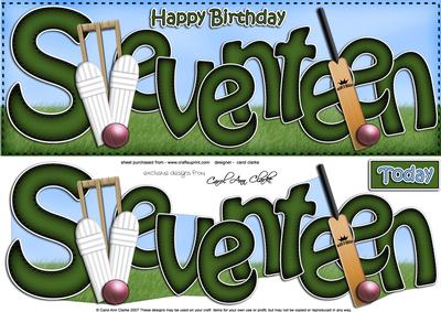 17th Birthday Large Dl Quick Card N 3D Decoupage