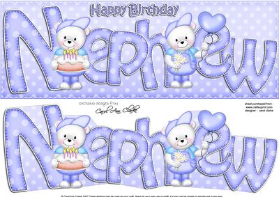 Birthday Nephew Large Dl Card N 3D Decoupage