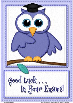 A4 Wise Owl Exam Good Luck Felties Card Topper