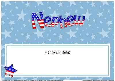 Usa Flag Birthday Nephew Large Dl Matching Large Dl Insert