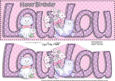 Large Dl Birthday Lou Lou Card & 3D Decoupage
