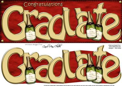 Large Dl Graduation Quick Card N 3D Decoupage